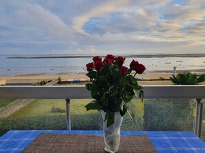 Property grounds - Joli studio on the front line (Arcachon)