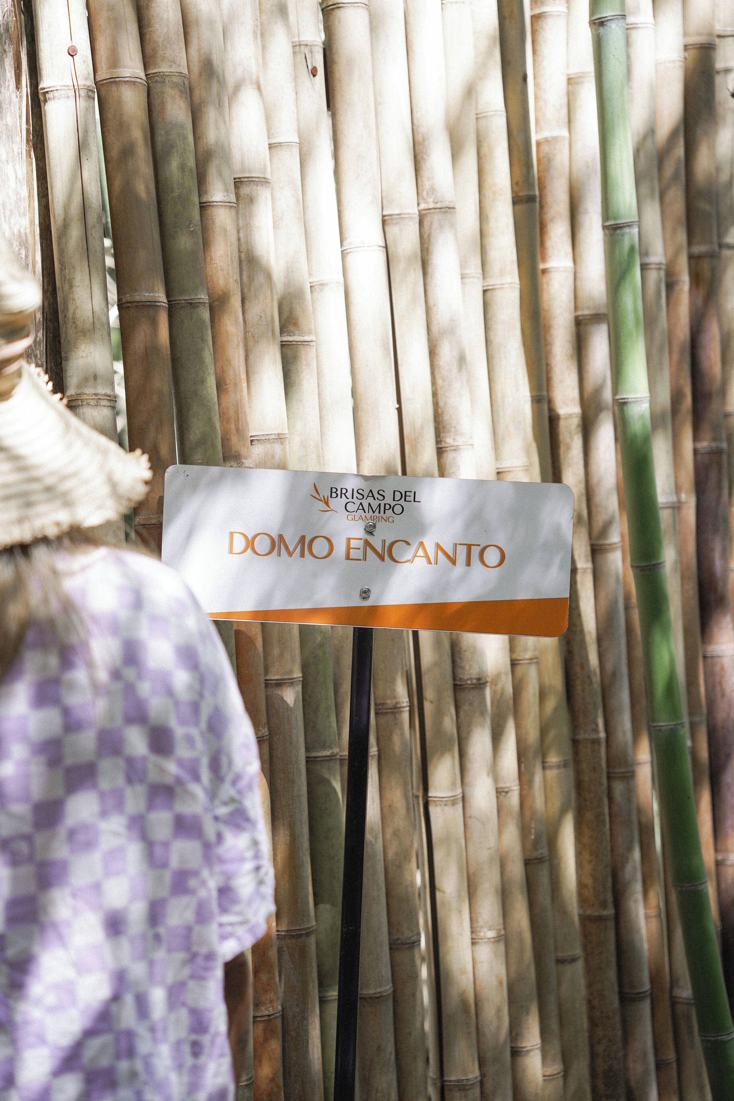 A sign for "DOMO ENCANTO" in front of bamboo walls.