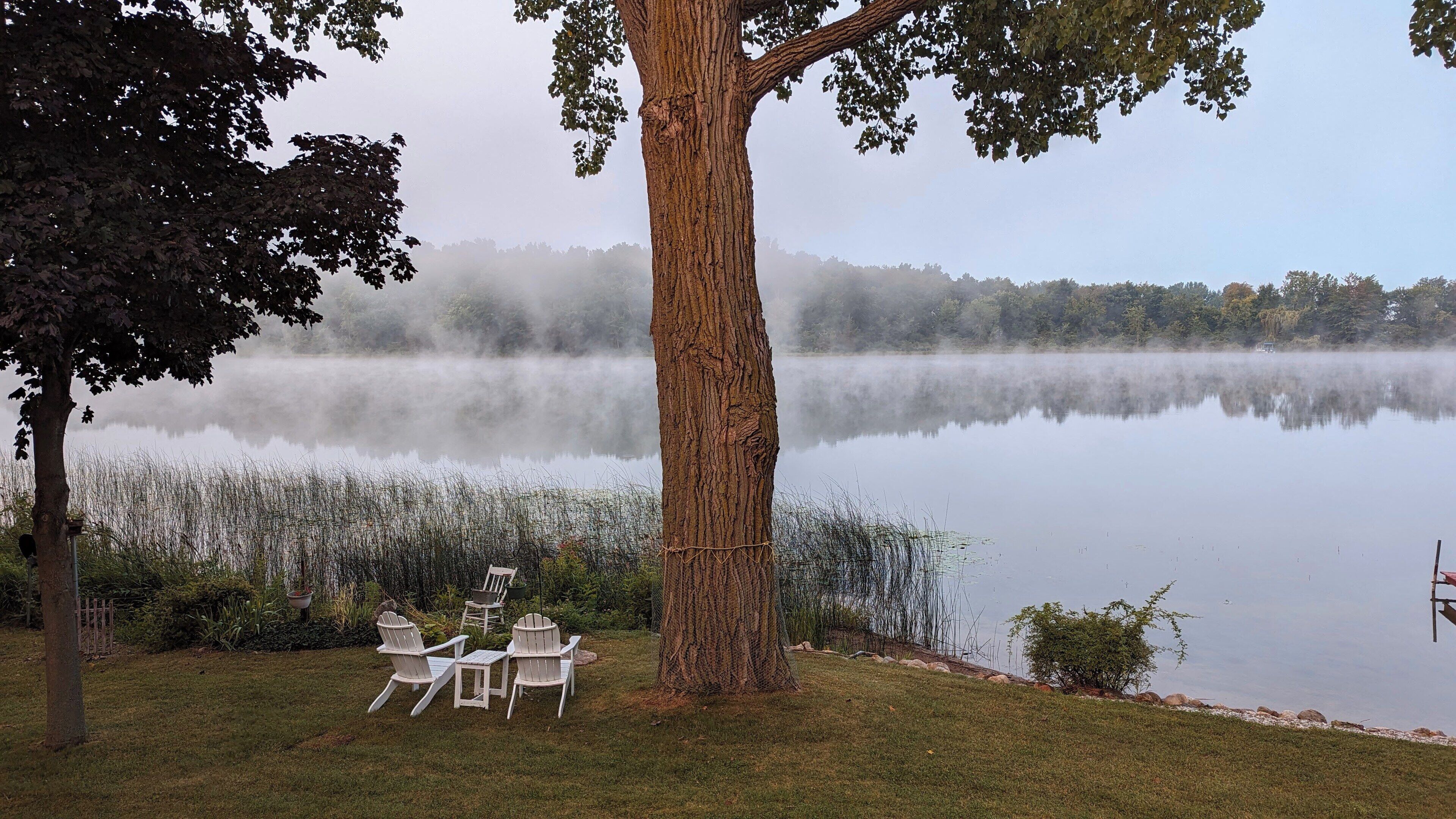 A serene lakeside setting with a large tree, a chair and table set up for dining, and a calm water body reflecting the tree and sky.