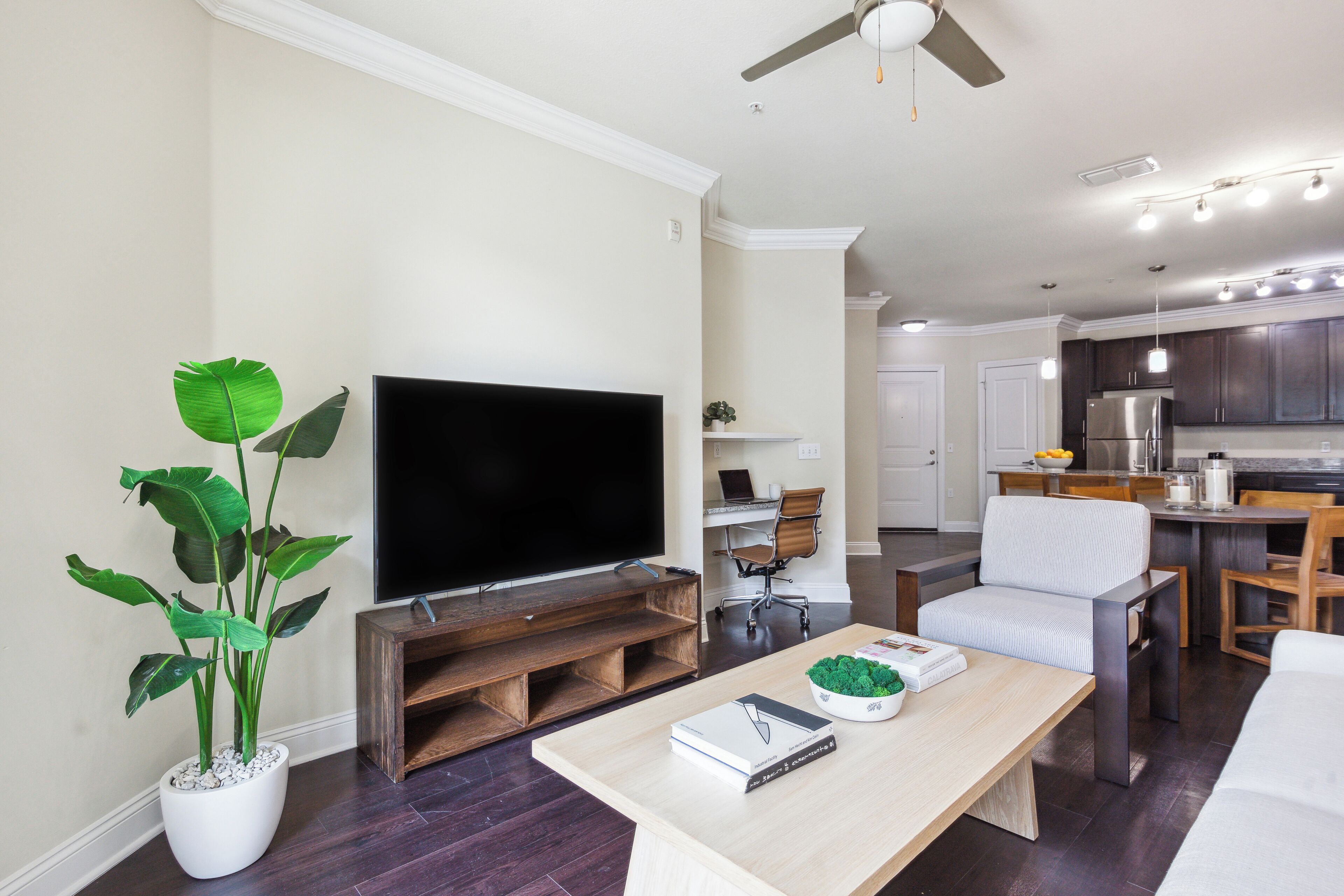 A modern living room with a flat-screen TV, a coffee table, and a potted plant.