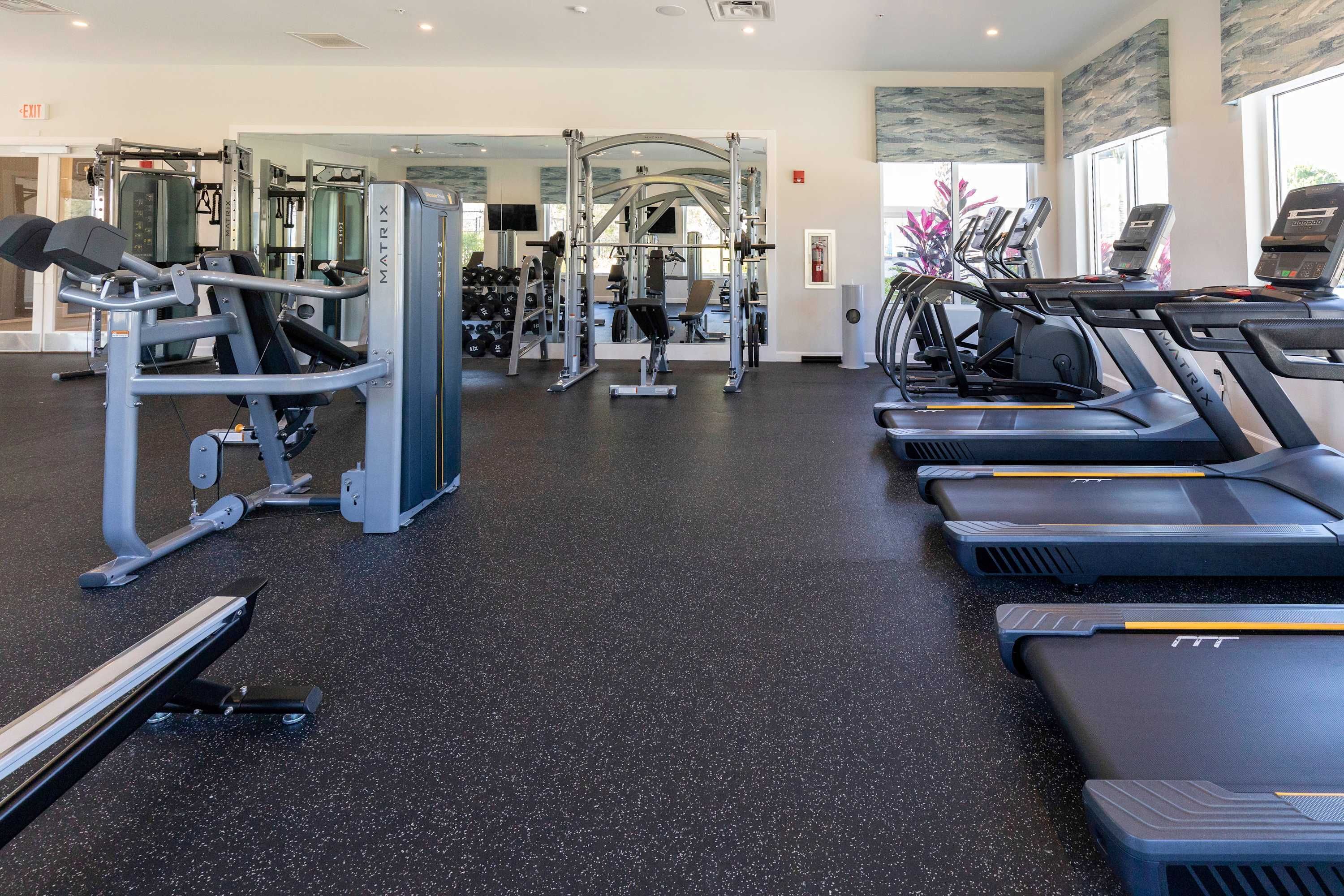 A gym with treadmills, weight machines, and free weights.
