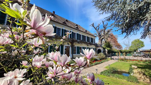 Gutshause Suite #1 "elisabeth" im Weingut Fitz-ritter - Vdp/biozertifiziert