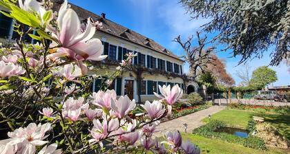 Gutshause Suite #1 "elisabeth" im Weingut Fitz-ritter - Vdp/biozertifiziert