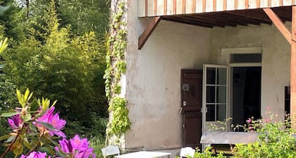 Gîte en Pleine Forêt