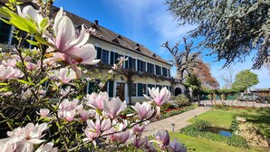 A historic building with a traditional facade, a well-maintained garden with flowering magnolia trees, and a clear blue sky. - Gutshaus Suite #3 "emma" im Weingut Fitz-ritter - Vdp/biozertifiziert (Bad Dürkheim)