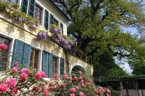 Gutshaus Suite #3 "emma" im Weingut Fitz-ritter - Vdp/biozertifiziert
