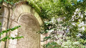 Une structure en pierre en forme d’arche, entourée d’une végétation luxuriante et agrémentée d’une plante à fleurs.