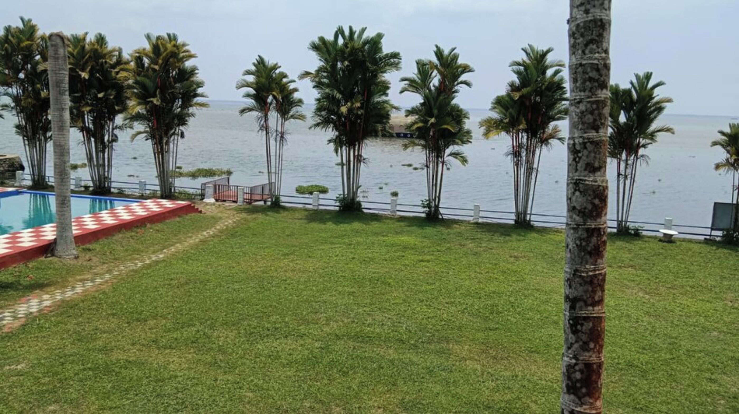 Zona verde con piscina y palmeras a orillas del agua.