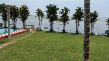 Zona verde con piscina y palmeras a orillas del agua.