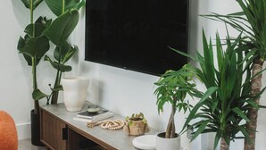 Un salon moderne avec un téléviseur à écran plat fixé au mur, un meuble de rangement en bois agrémenté d’objets décoratifs et de grandes plantes vertes.