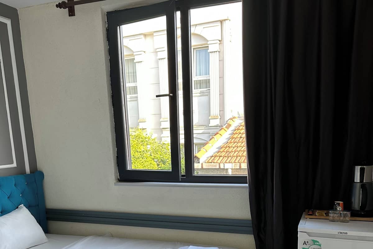 Economy Room | 1 bedroom, premium bedding, minibar, desk
