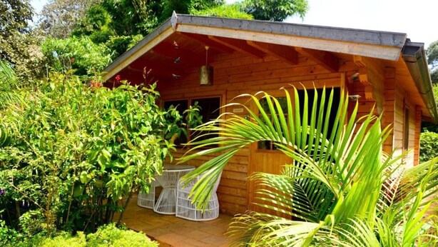 Eine Holzhütte mit Veranda, umgeben von üppigem Grün.