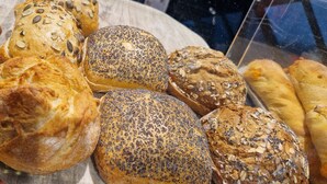 Variedad de panes con semillas y cereales sobre una bandeja.