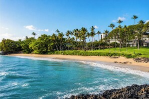 A beach with clear blue water, a sandy shore, and a row of palm trees. - KBM Resorts | FREE CAR | Wailea Elua | 2-Bedroom Condo Condo with Luxury Amenities! WEV-2009 (Wailea)