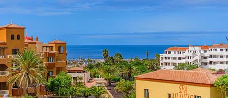 Vista desde la propiedad