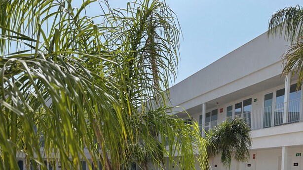 A multi-level building with a courtyard featuring palm trees, outdoor seating, and a tiled floor. - SH Campus Lyceum (Moncada)