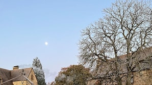 A courtyard with stone buildings, a large tree, and sparse vegetation.