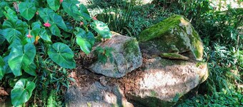 Loft Aconchegante em Meio à Natureza