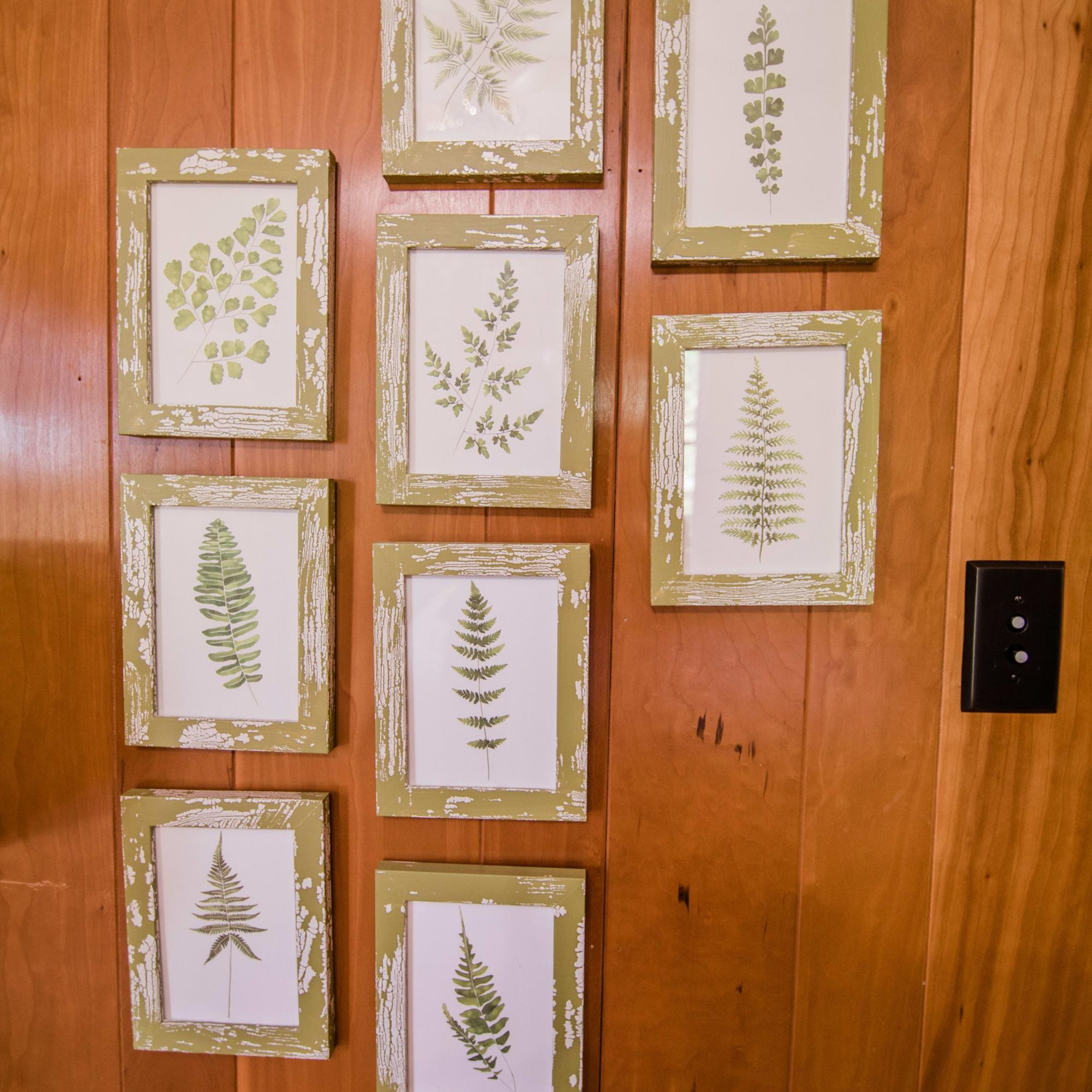 A wall with nine framed botanical prints arranged in a grid pattern.