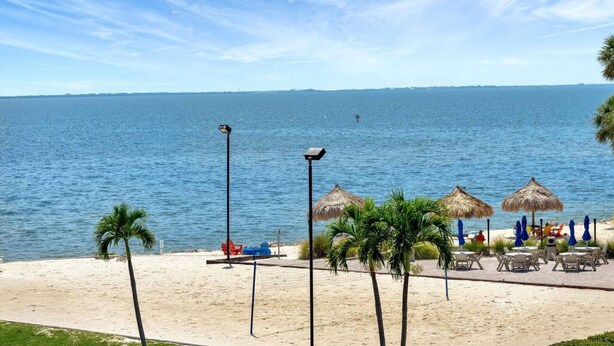 Una playa con una red de voleibol, palmeras y sillas de playa bajo sombrillas de paja.