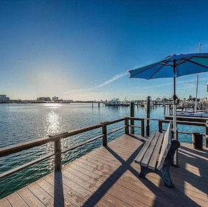 On the beach, beach towels - The Seashell Suite w Private Balcony Walk 2 Beach (Clearwater Beach)