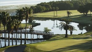 A golf course with a water hazard, palm trees, and a distant bridge.