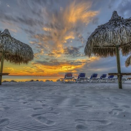 The Palm Exclusive Tropical Luxury on the Water