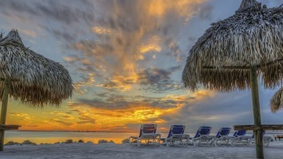 The Palm Exclusive Tropical Luxury on the Water