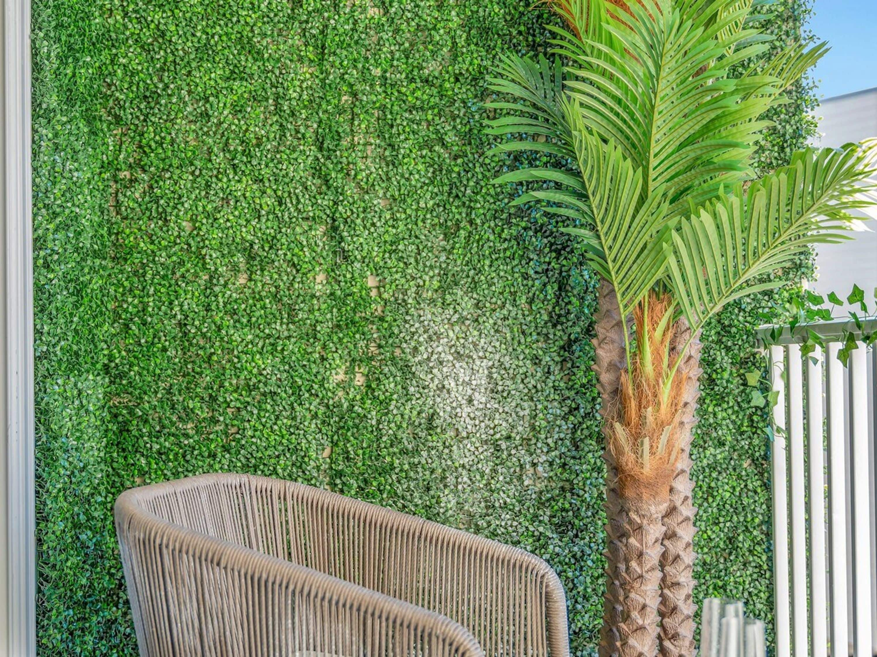 Una silla de mimbre frente a un muro cubierto de follaje verde.