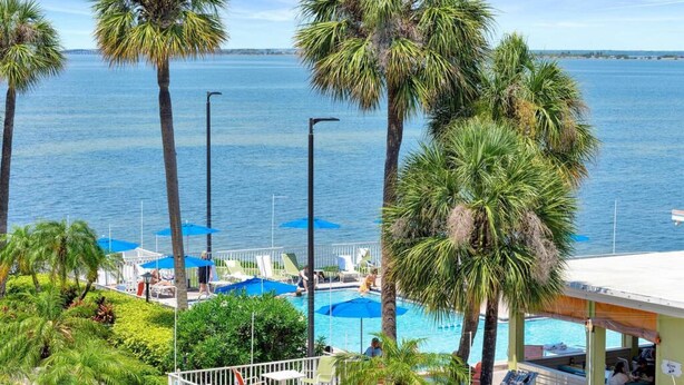 A pool area with palm trees, lounge chairs, and umbrellas. - Serenity on the Sea Luxury Condo w Prvt Balcony (Tampa)