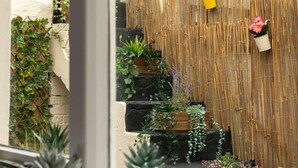 A staircase with plants and flowers. - Short Walk to I360 and Beach 5 Condo With Patio (Brighton)