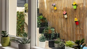 A view of a bamboo wall with hanging flower pots and a window with potted plants. - Short Walk to I360 and Beach 5 Condo With Patio (Brighton)