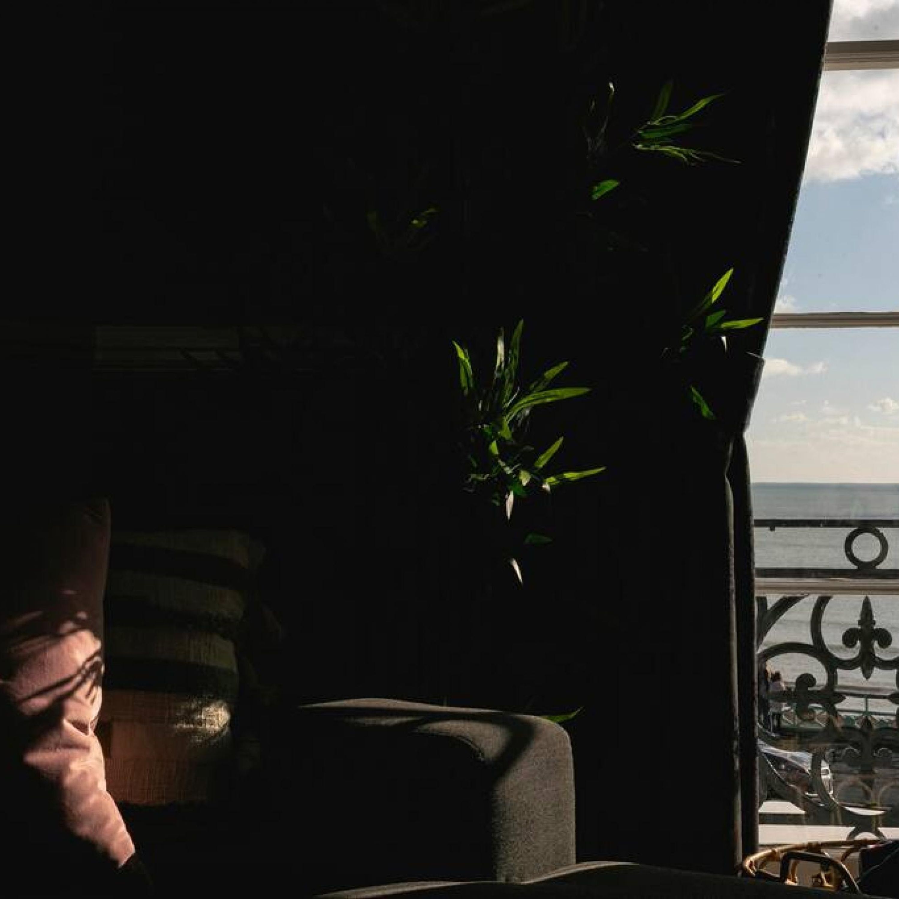 A room with a view of the sea through a window with a black curtain featuring green leaves.