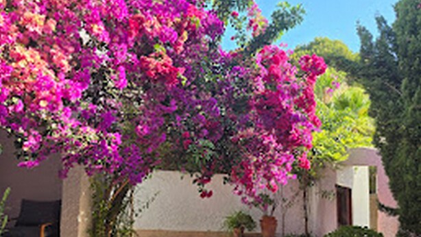 Property grounds - Villa Beatrice , Tres Proche DE LA Plage DEL Portet ET DU Port DE Moraira (Teulada)