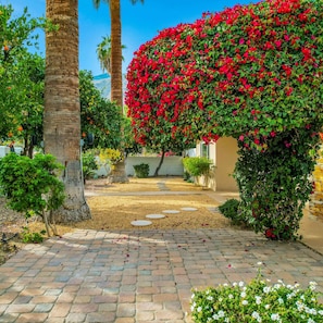 House | 3 bedrooms, Internet - Casa de Mesquite - Large Pool Walled In Yard (Palm Springs)