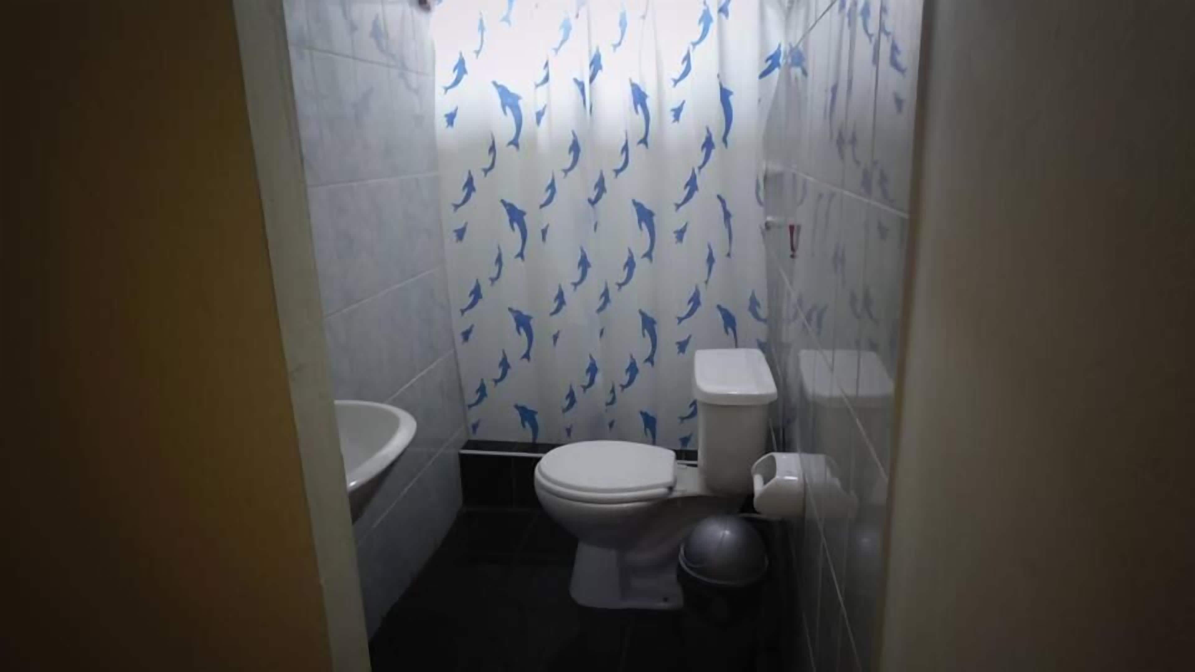 A small bathroom with a toilet, a sink, and a shower area.
