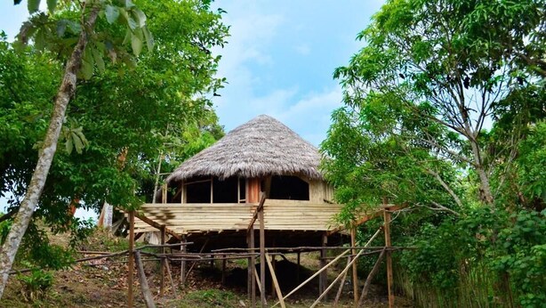 A thatched-roof hut with a wooden floor, surrounded by dense greenery. - Indiana Lodge (Indiana)