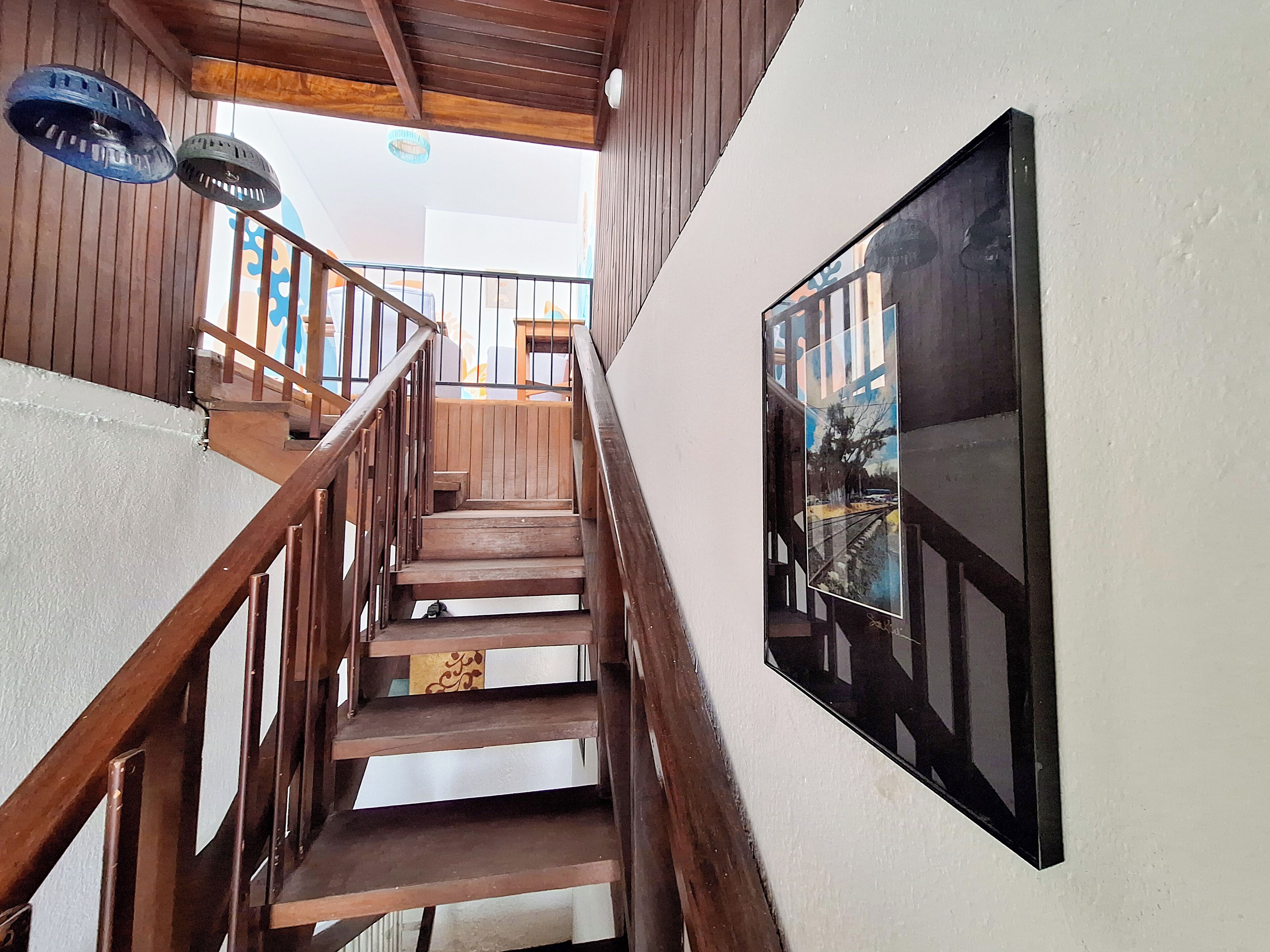 Photo - Jungla Urbana, BnB Adult Only