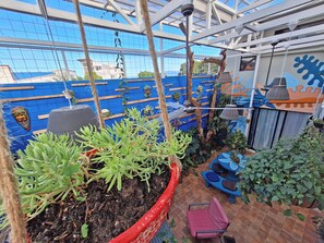 Exterior - Jungla Urbana BnB - Adults Only (San José)
