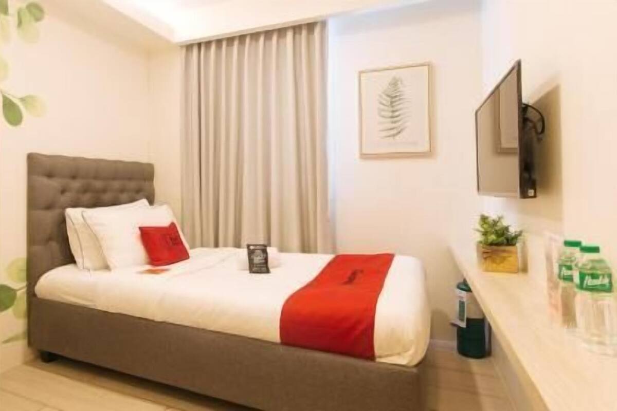 Une chambre d’hôtel avec un lit, une télévision, une plante et une fenêtre avec des rideaux.