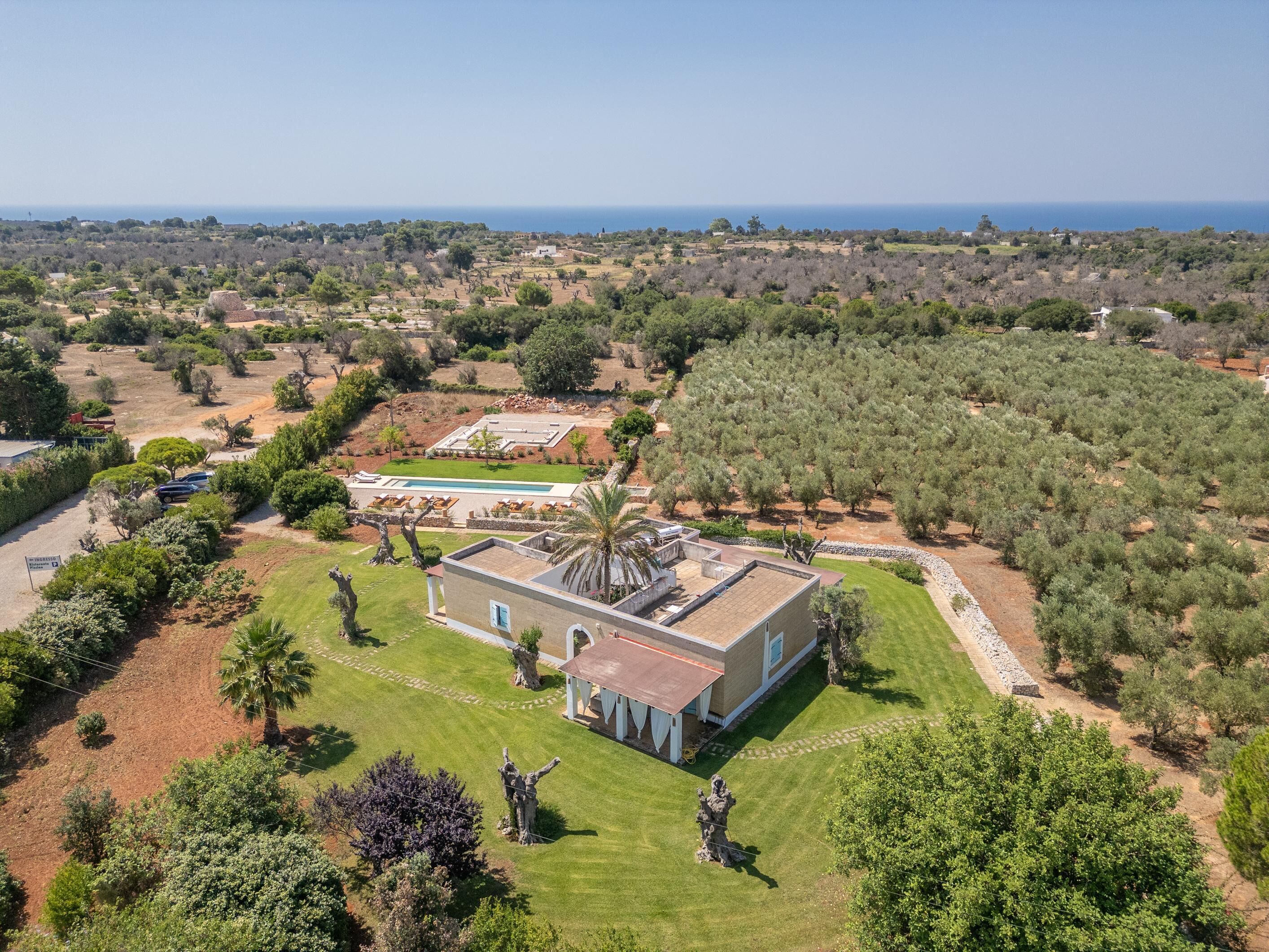 An aerial view of a property with a swimming pool, a large building, and surrounding olive groves.
