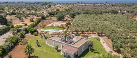 An aerial view of a property with a swimming pool, a large building, and surrounding olive groves.