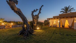 A modern building with a large tree in the foreground, stone walls, and outdoor seating area with lights. - Appartamento Cappero - Torre Vado (Torre vado)