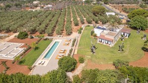 An aerial view of a property with a swimming pool, lounge chairs, and a building with solar panels.