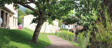 Un sendero empedrado bordeado por abundante vegetación y edificios tradicionales con ventanas de arco.