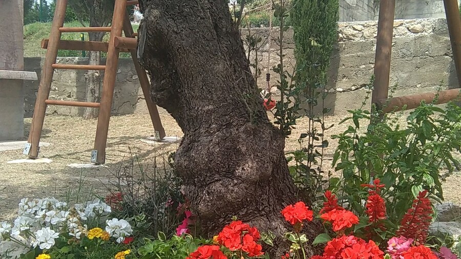 Apartments Danijela & Vlado