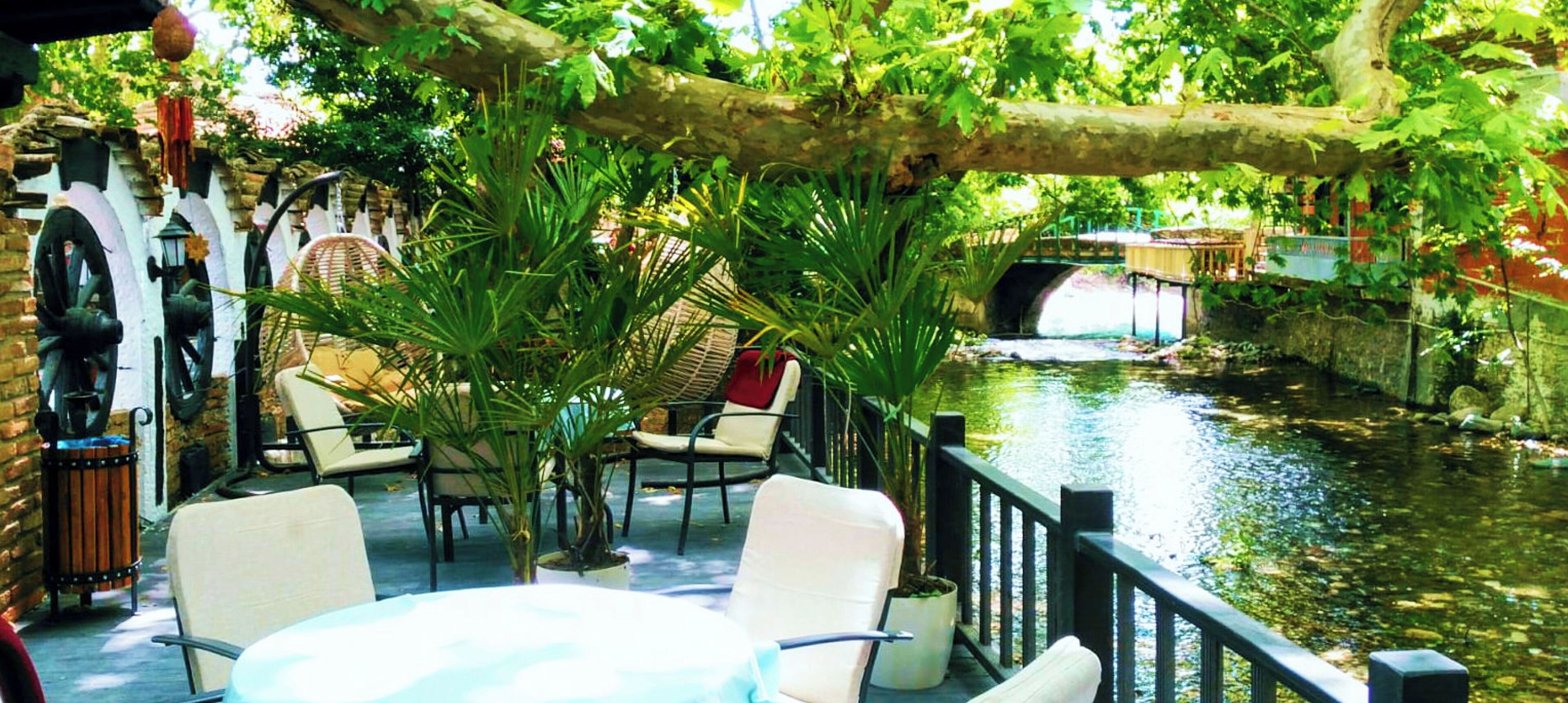 Vista desde la propiedad