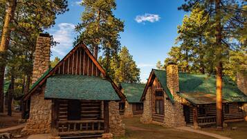 Classic Cabin | 1 bedroom, hypo-allergenic bedding, desk, laptop workspace