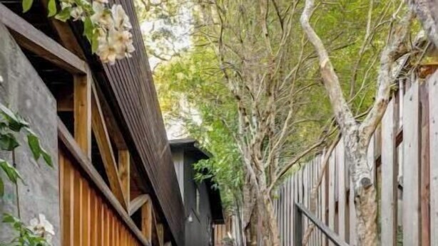 A staircase leading up to a wooden door, surrounded by trees and a concrete wall. - Treehouse studio, secluded & chic hiker’s paradise

 (San Anselmo)