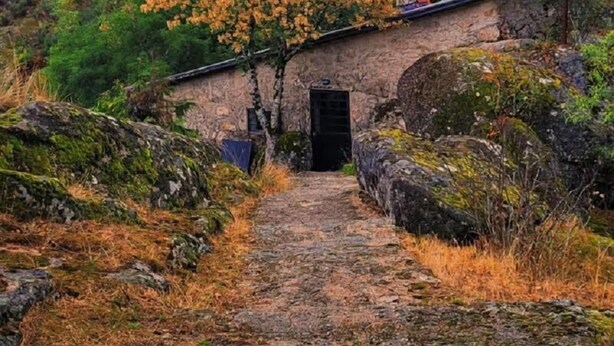 Un edificio rústico de piedra con un acceso, rodeado por un paisaje natural con un árbol en tonos otoñales.